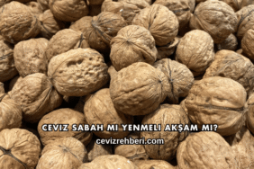 Ceviz Sabah mı Yenmeli Akşam mı?