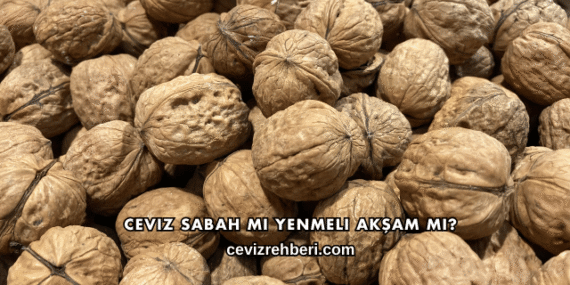 Ceviz Sabah mı Yenmeli Akşam mı?