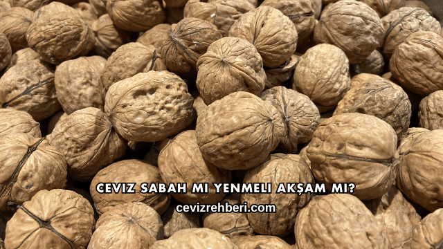 Ceviz Sabah mı Yenmeli Akşam mı?