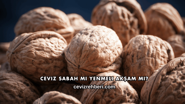 Ceviz Sabah mı Yenmeli Akşam mı?