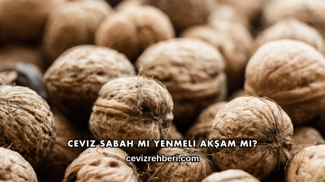 Ceviz Sabah mı Yenmeli Akşam mı?
