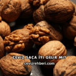 Ceviz Saça İyi Gelir mi?