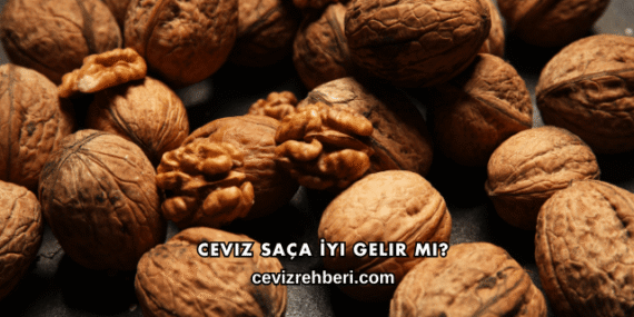 Ceviz Saça İyi Gelir mi?