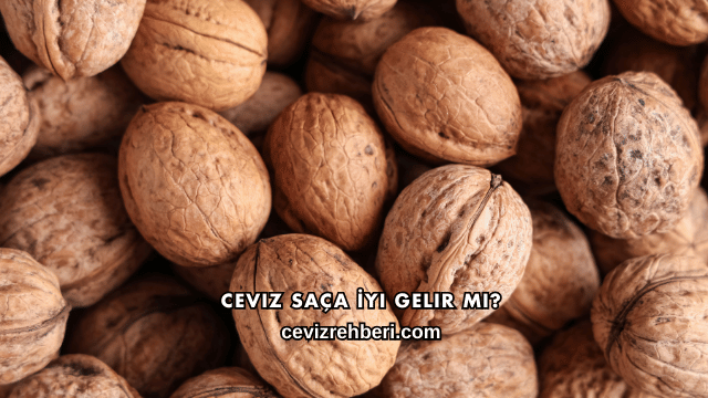 Ceviz Saça İyi Gelir mi?