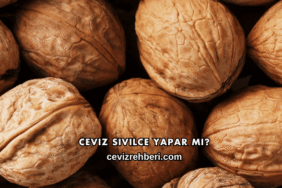 Ceviz Sivilce Yapar mı?