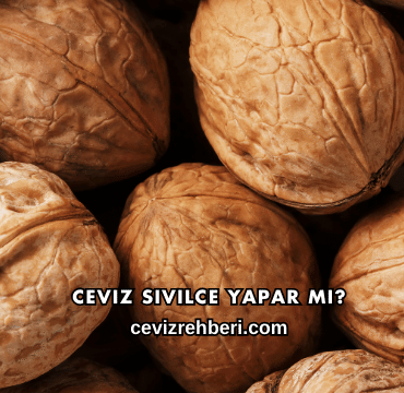 Ceviz Sivilce Yapar mı?