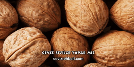 Ceviz Sivilce Yapar mı?