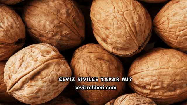Ceviz Sivilce Yapar mı?