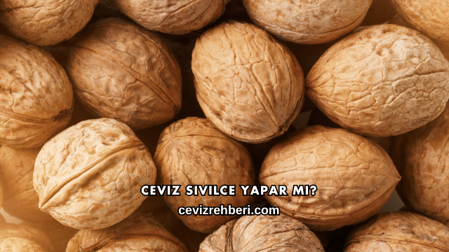 Ceviz Sivilce Yapar mı?