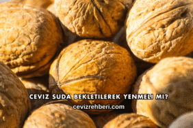 Ceviz Suda Bekletilerek Yenmeli mi?