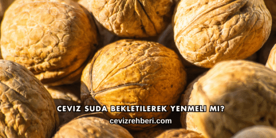 Ceviz Suda Bekletilerek Yenmeli mi?