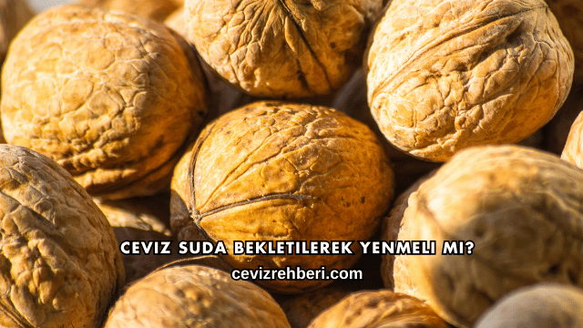 Ceviz Suda Bekletilerek Yenmeli mi?