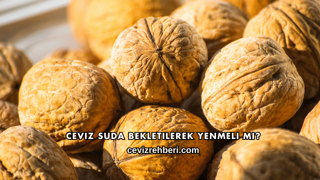Ceviz Suda Bekletilerek Yenmeli mi?