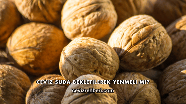 Ceviz Suda Bekletilerek Yenmeli mi?