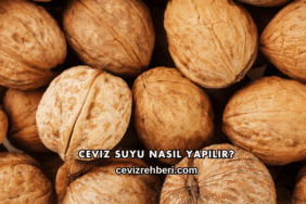 Ceviz Suyu Nasıl Yapılır?