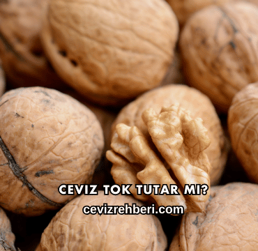 Ceviz Tok Tutar mı?