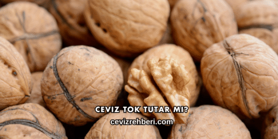 Ceviz Tok Tutar mı?