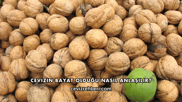 Cevizin Bayat Olduğu Nasıl Anlaşılır?