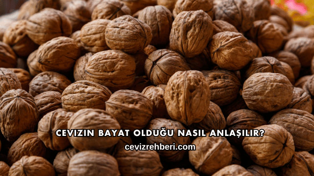 Cevizin Bayat Olduğu Nasıl Anlaşılır?