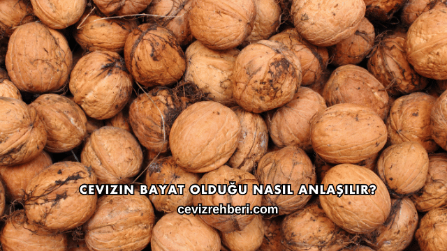 Cevizin Bayat Olduğu Nasıl Anlaşılır?