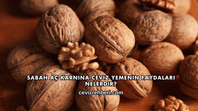 Sabah Aç Karnına Ceviz Yemenin Faydaları Nelerdir?