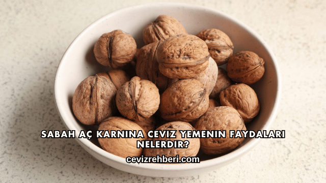 Sabah Aç Karnına Ceviz Yemenin Faydaları Nelerdir?