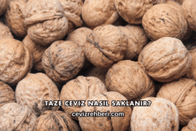 Taze Ceviz Nasıl Saklanır?