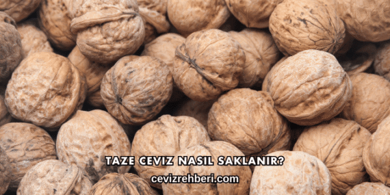 Taze Ceviz Nasıl Saklanır?