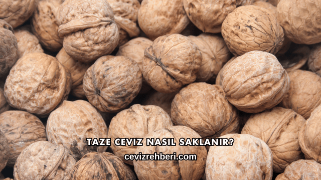 Taze Ceviz Nasıl Saklanır?