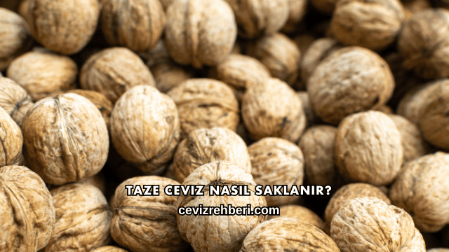 Taze Ceviz Nasıl Saklanır?