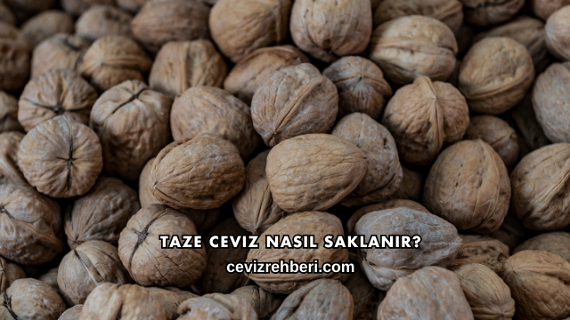 Taze Ceviz Nasıl Saklanır?